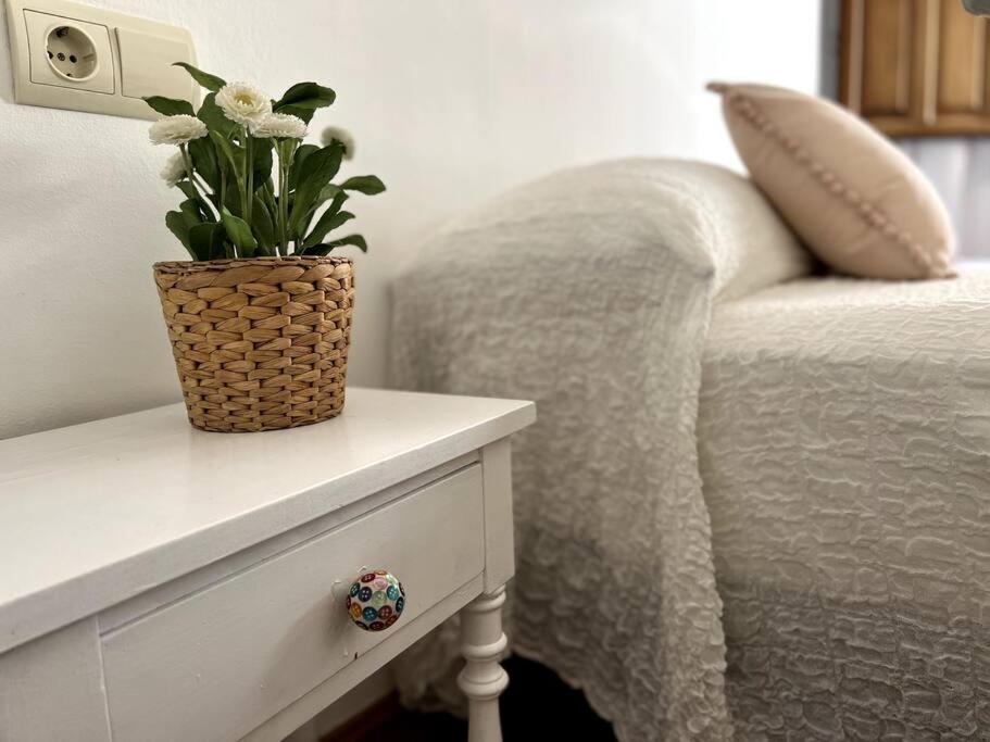 Apartamento Muy Centrico En 그라나다 외부 사진